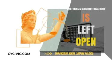 Unlocking the Mystery of Constitutional Ambiguity