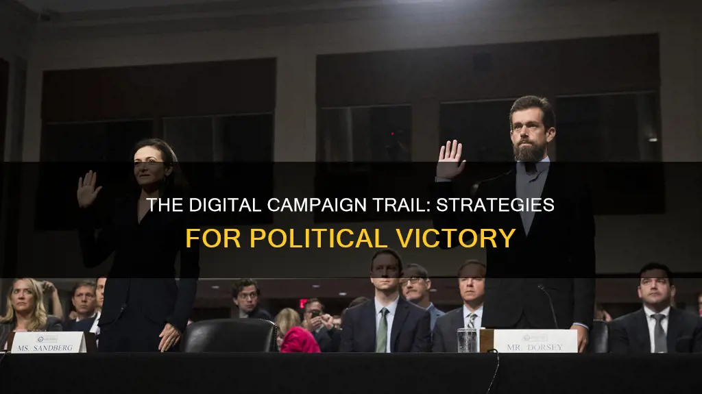what does a digitla political campaign look like