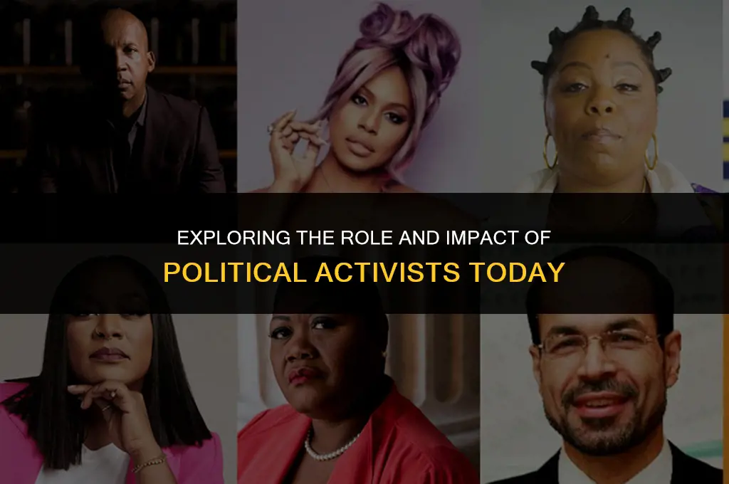what does a political activist