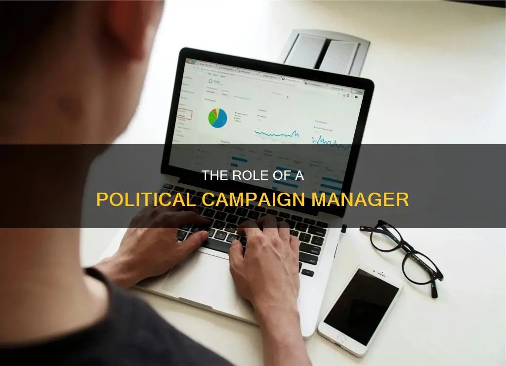 what does a political campaign manager do