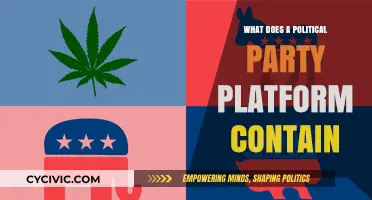 Understanding Political Party Platforms: Core Components and Key Issues Explained