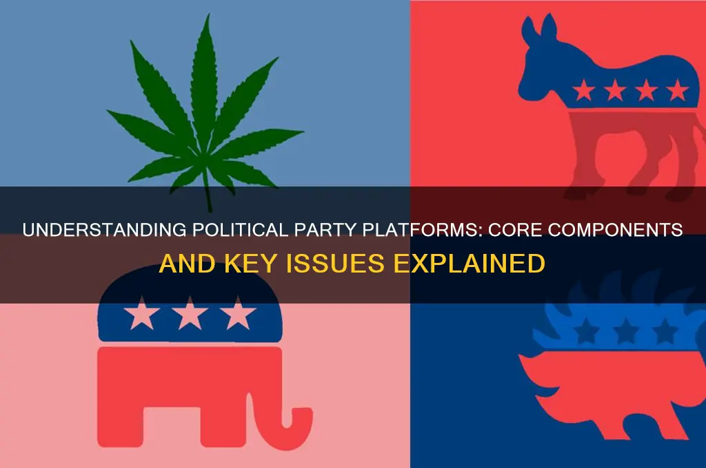 what does a political party platform contain