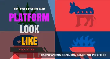 Understanding Political Party Platforms: Structure, Goals, and Key Components
