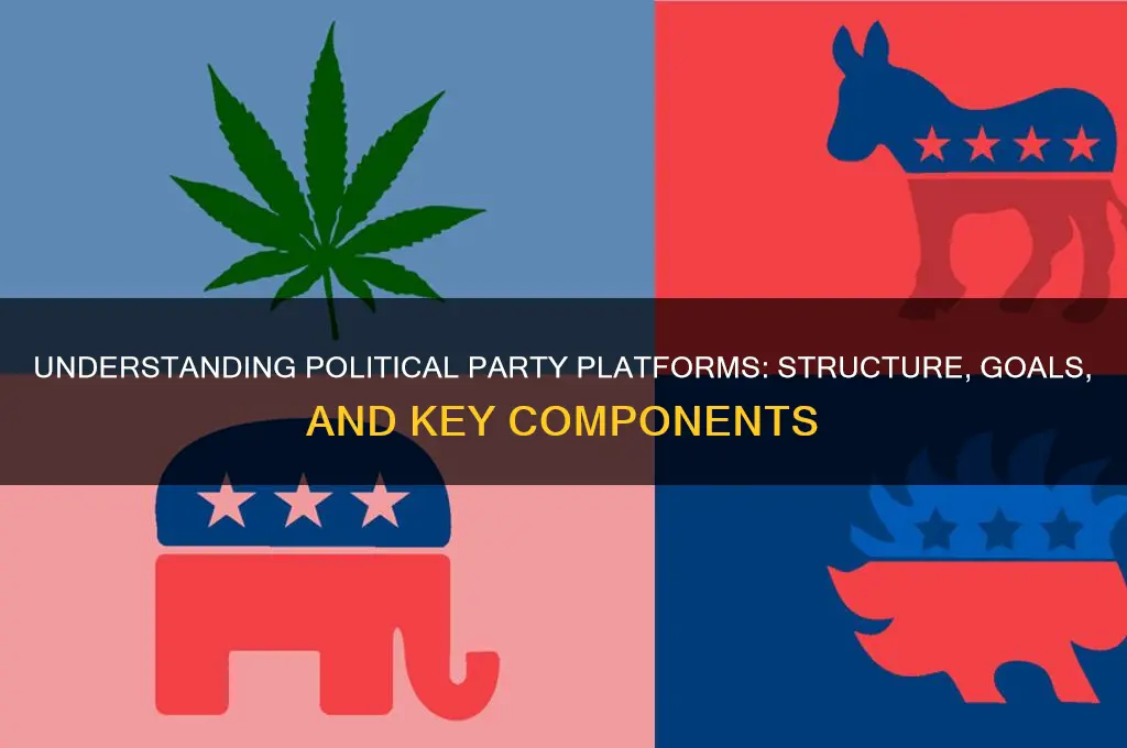what does a political party platform look like