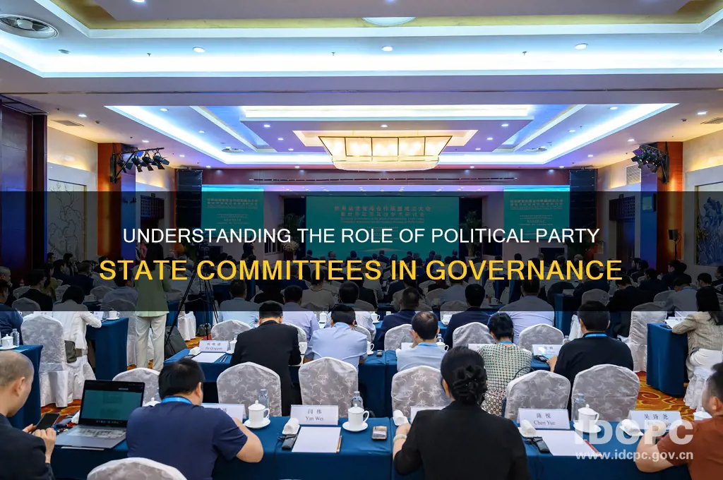 what does a political party state committee do