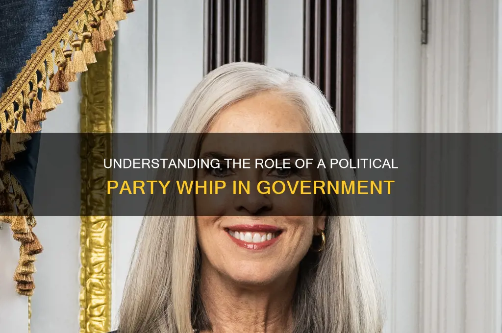 what does a political party whip do