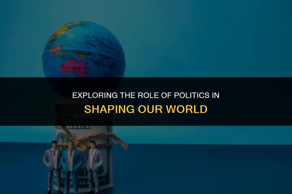 what does a politics do