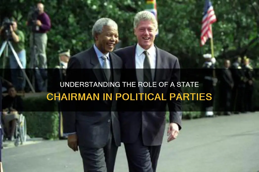 what does a state chairmen do for a political party