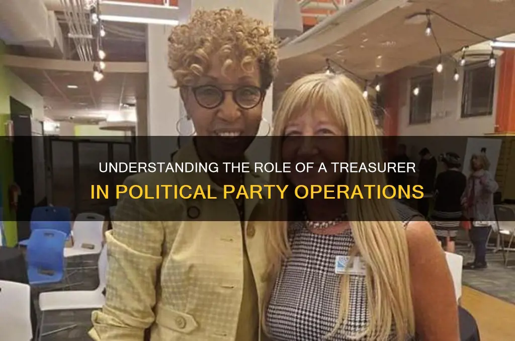 what does a treasurer do in a political party