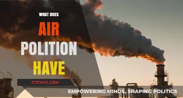 Unveiling the Invisible Threat: Understanding Air Pollution's Impact