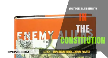 Alien Definition: What the Constitution Really Means