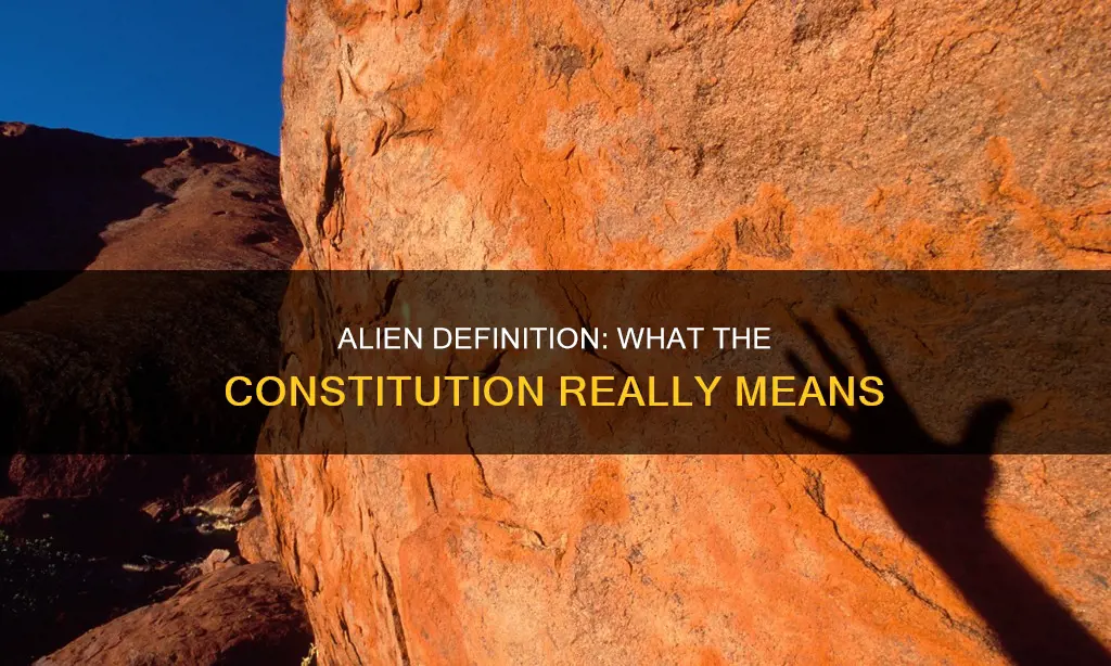 what does alien refer to in the constitution
