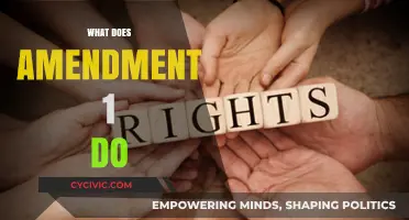Understanding the First Amendment: Freedom and Rights