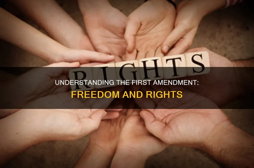 what does amendment 1 do