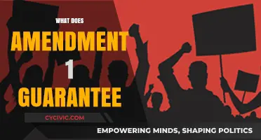 First Amendment: Freedom of Speech and Press