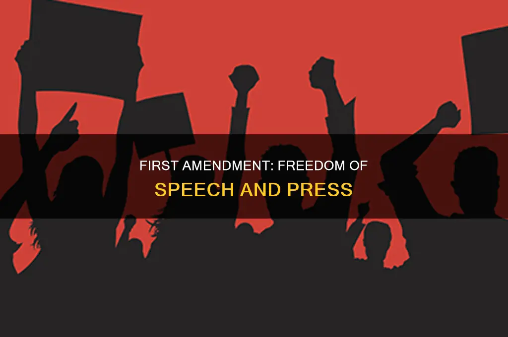 what does amendment 1 guarantee