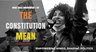 Understanding the First Amendment: Freedom and Rights