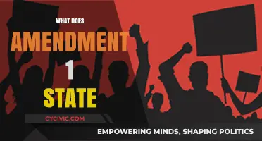 The First Amendment: Freedom of Speech and Press