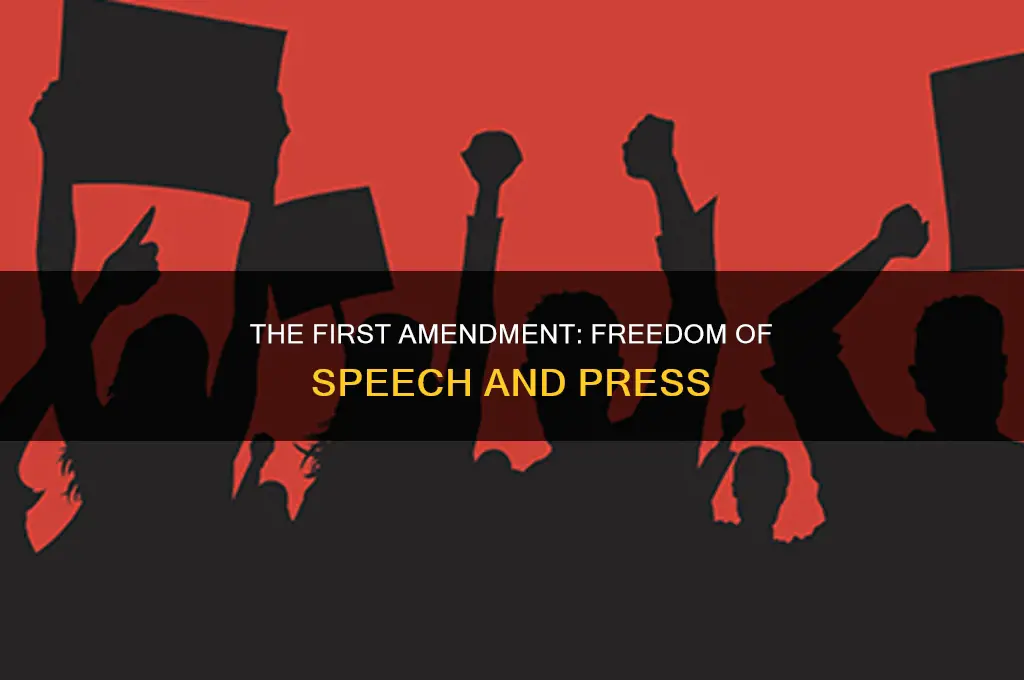 what does amendment 1 state