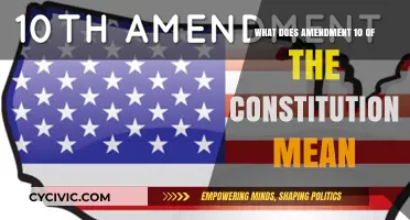 Explaining the Tenth Amendment in Ten Words or Less