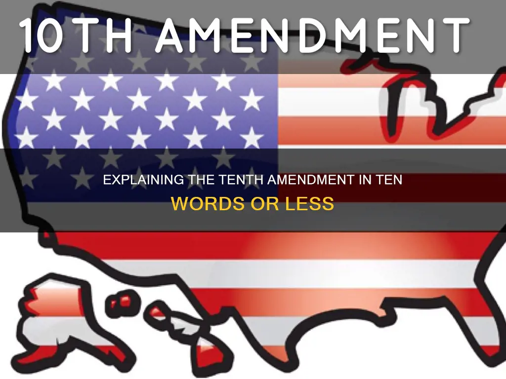 what does amendment 10 of the constitution mean