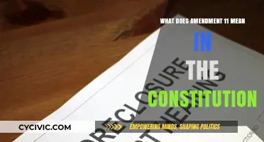 Understanding Amendment XI: Judicial Power and Limits