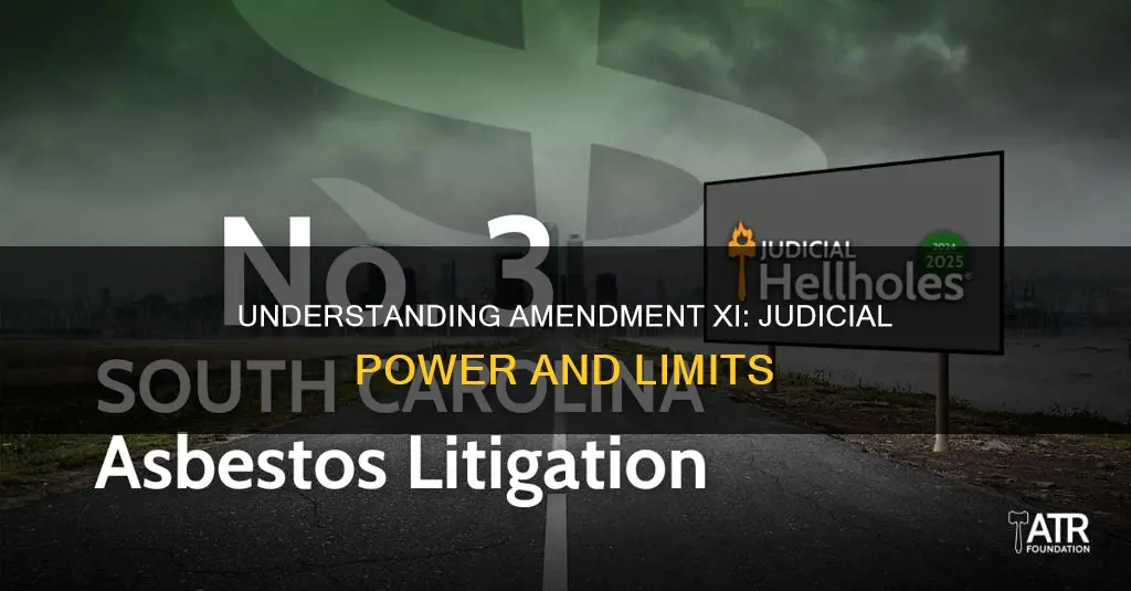 what does amendment 11 mean in the constitution