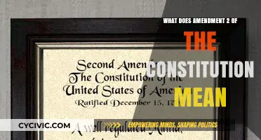 Understanding the Second Amendment: The Right to Bear Arms