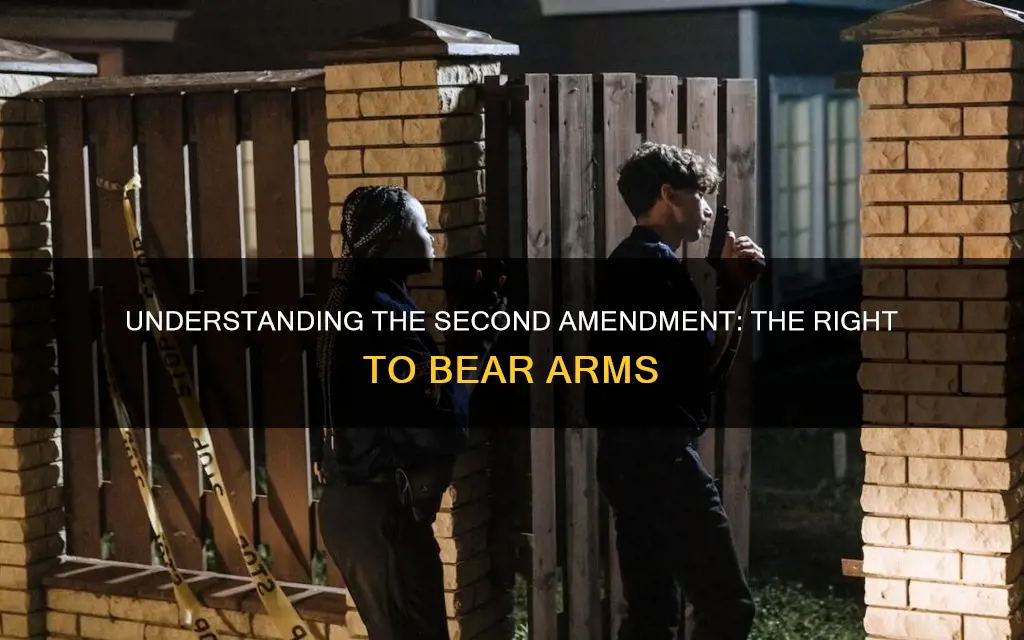 what does amendment 2 of the constitution mean