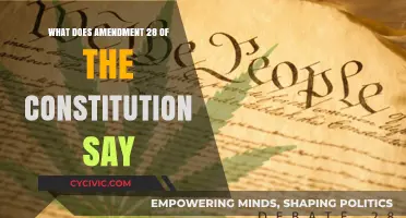 Amendment 28: The Right to Environmental Protection