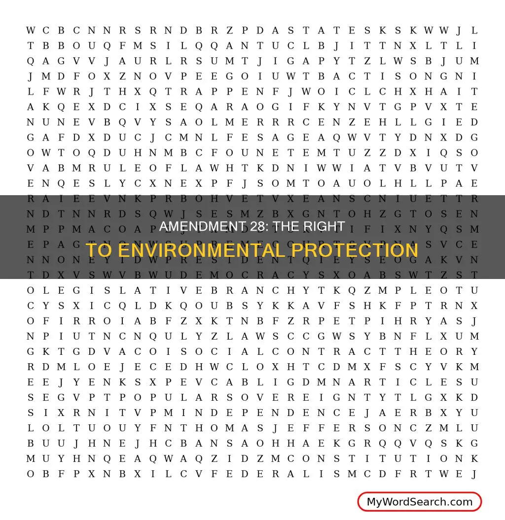 what does amendment 28 of the constitution say