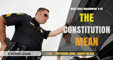 Amending Rights: Understanding the Fourth Amendment