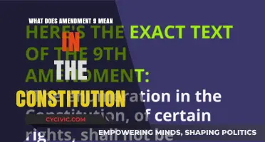 The Ninth Amendment: Protecting Our Unenumerated Rights