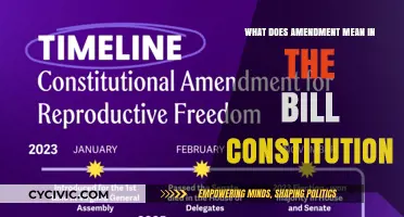Amendments: Understanding the Bill of Constitution Changes
