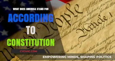 America's Constitutional Values: Freedom, Democracy, and Rights