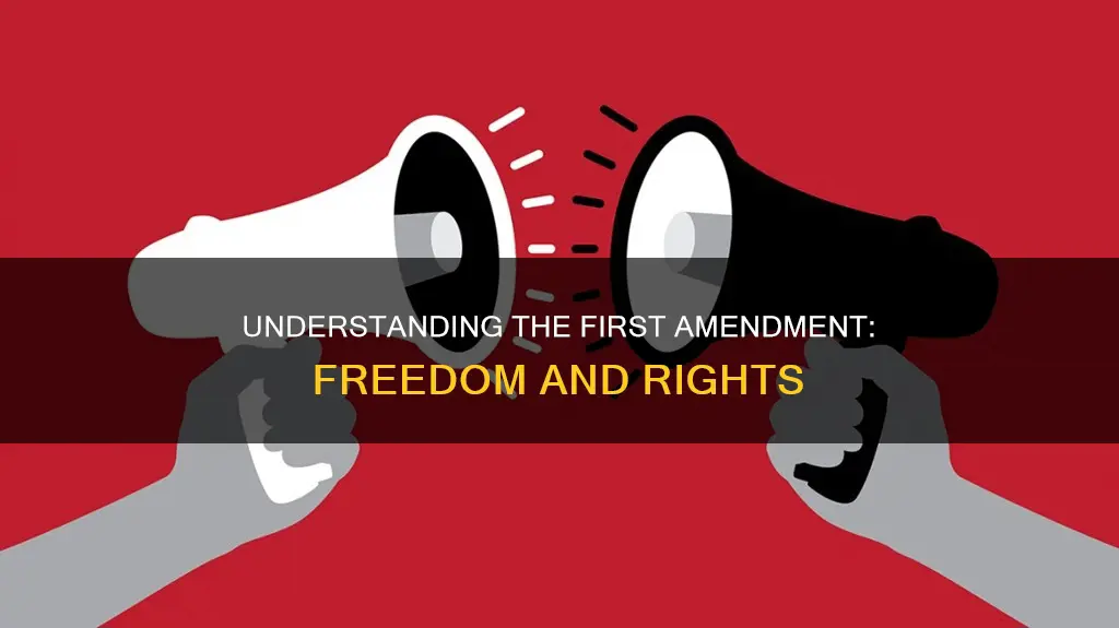 what does ammendement 1 of the constitution do