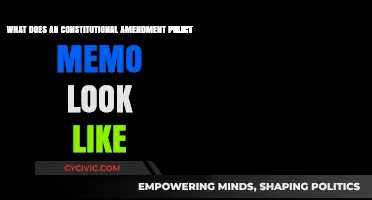 Memo Format: Understanding Constitutional Amendments