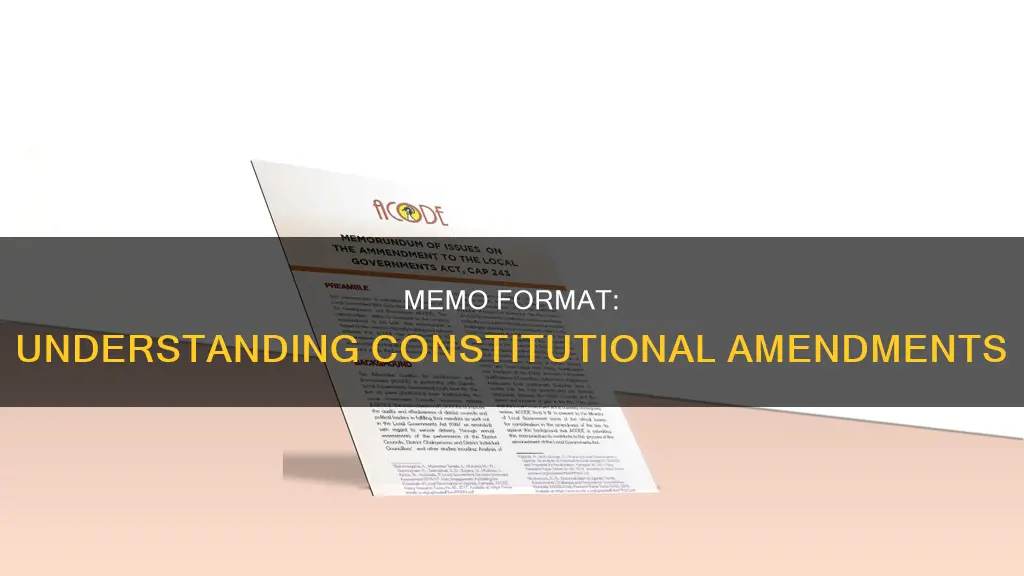 what does an constitutional amendment policy memo look like