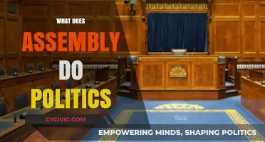 Exploring the Role of Assembly in Shaping Political Landscapes