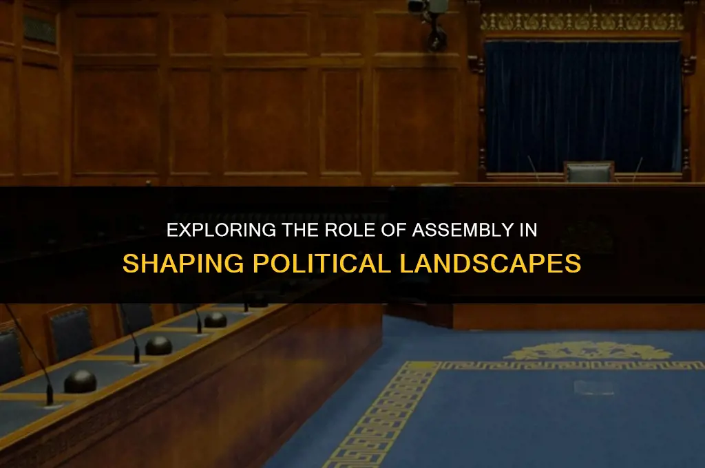 what does assembly do politics
