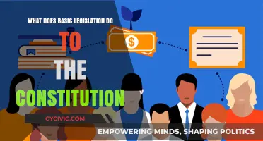 Basic Legislation: Constitution's Foundation