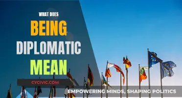 The Art of Diplomacy: Navigating Relationships Skillfully