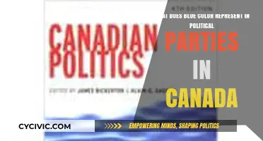 Blue in Canadian Politics: Symbolism and Party Representation Explained