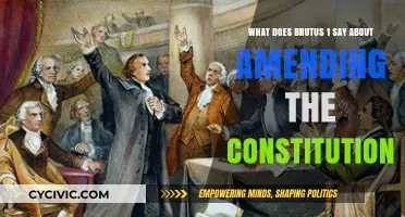 Amending the Constitution: Brutus 1's Perspective