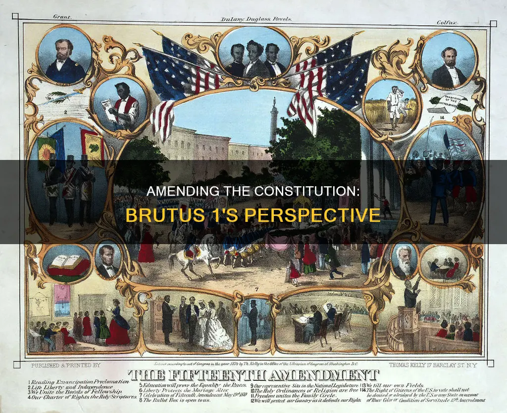 what does brutus 1 say about amending the constitution