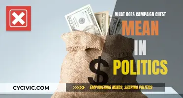 Unraveling the Mystery of Campaign Chests in Politics