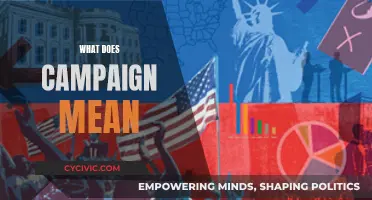 Understanding the Meaning of "Campaign" in Various Contexts