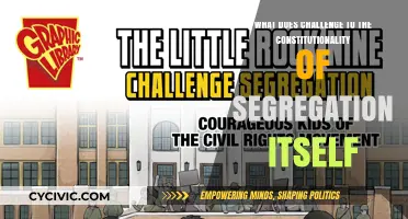 The Unconstitutionality of Segregation: A Challenge to America's Past