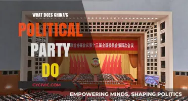 Understanding China's Political Party: Roles, Influence, and Global Impact