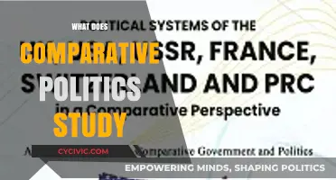 Exploring Comparative Politics: A Study of Systems and Societies